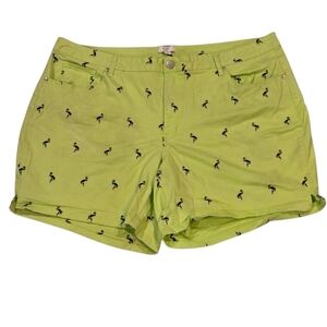 Crown & Ivy Women's Green Flamingo Print Shorts Size 24W